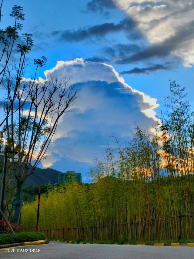 找旅行老伴搭子