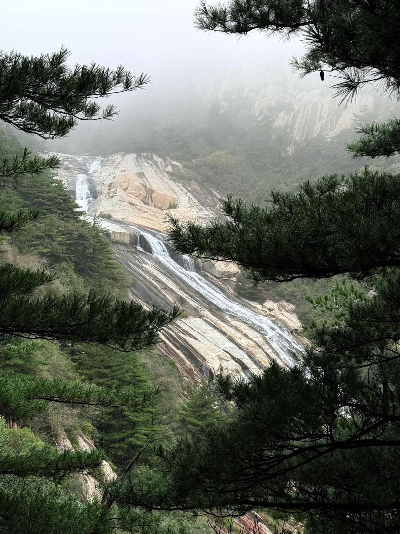 找滑雪老伴搭子