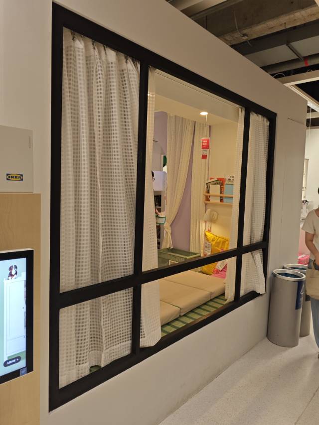 找慢步老伴搭子