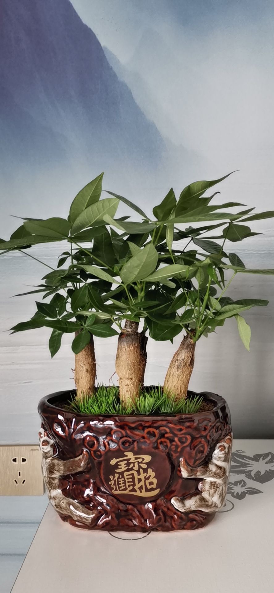 找吃饭旅游聊天老伴搭子