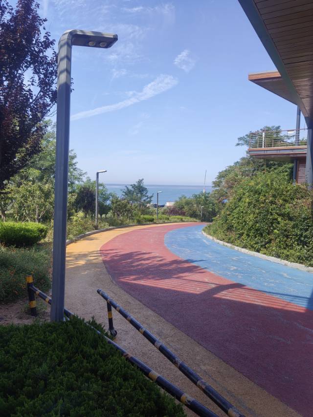 找散步老伴搭子