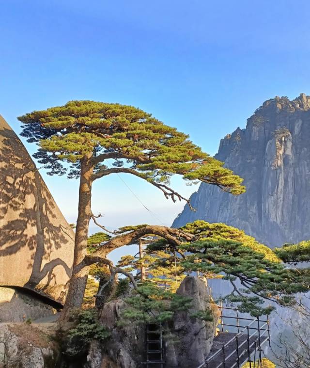 找另一半老伴搭子