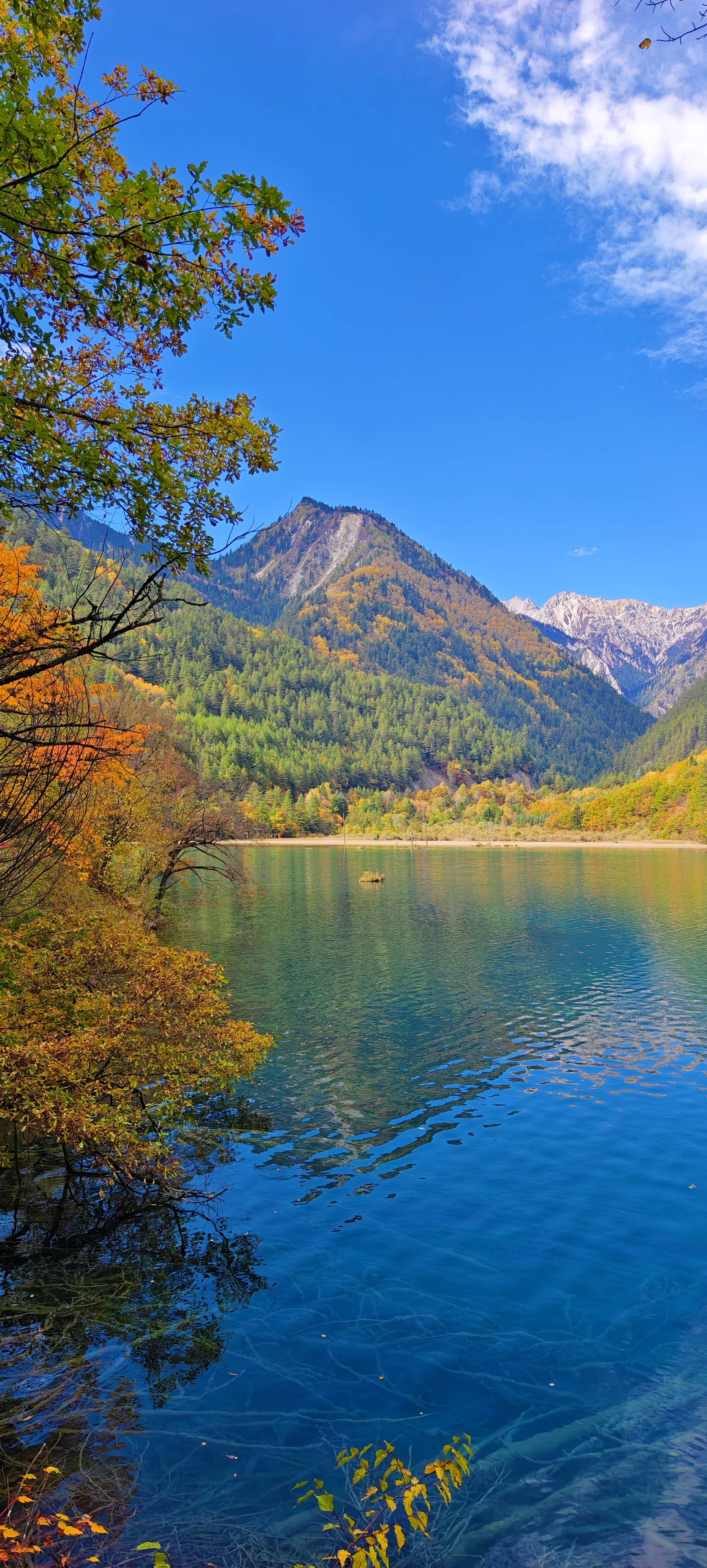 找闲时聊天老伴搭子