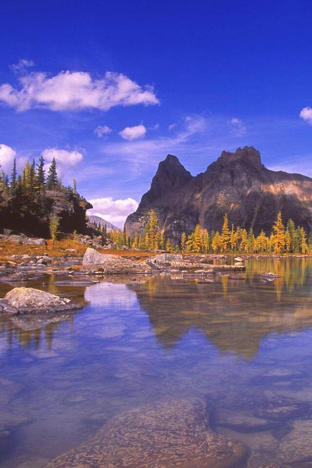 找休闲老伴搭子