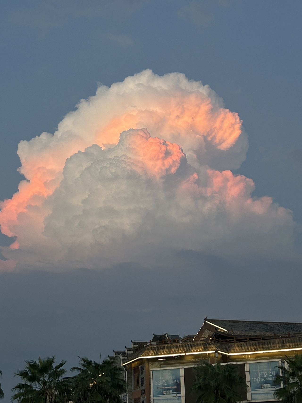 找运动老伴搭子