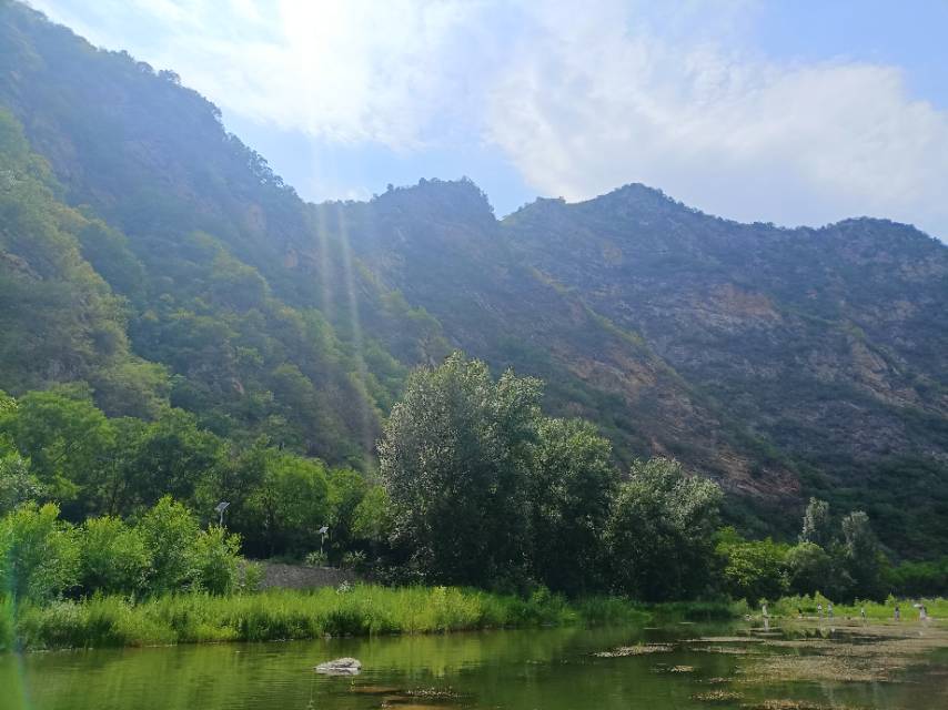 找陪伴老伴搭子