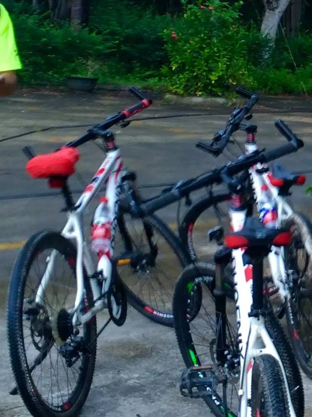 找候鸟老伴搭子