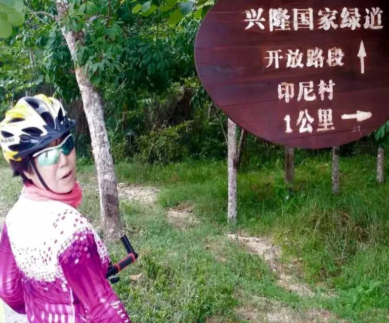 找候鸟老伴搭子