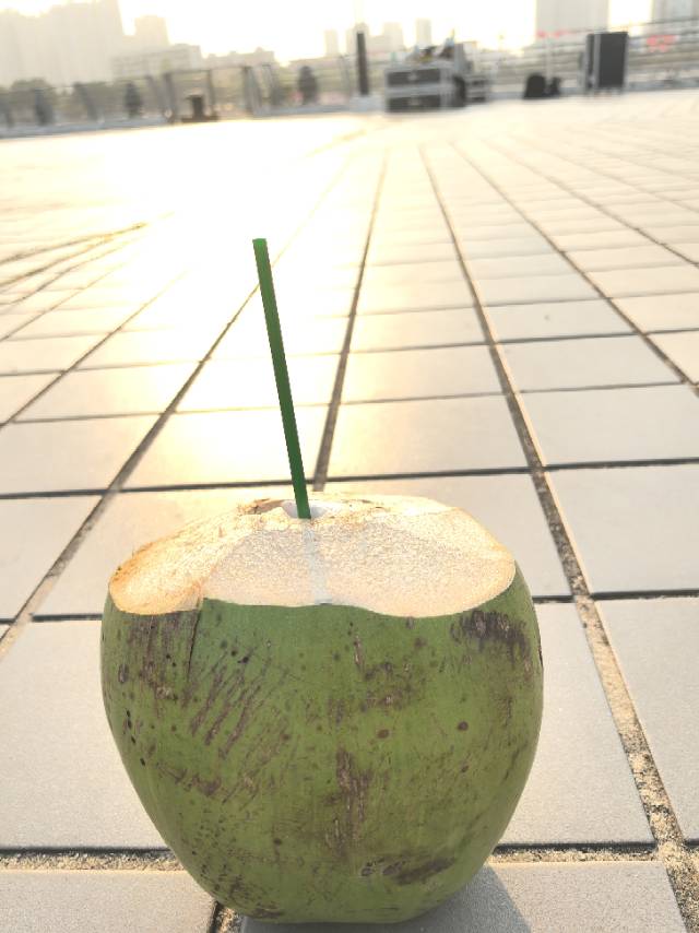 找手机摄影老伴搭子