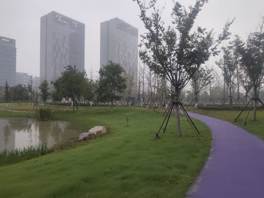 找运动老伴搭子