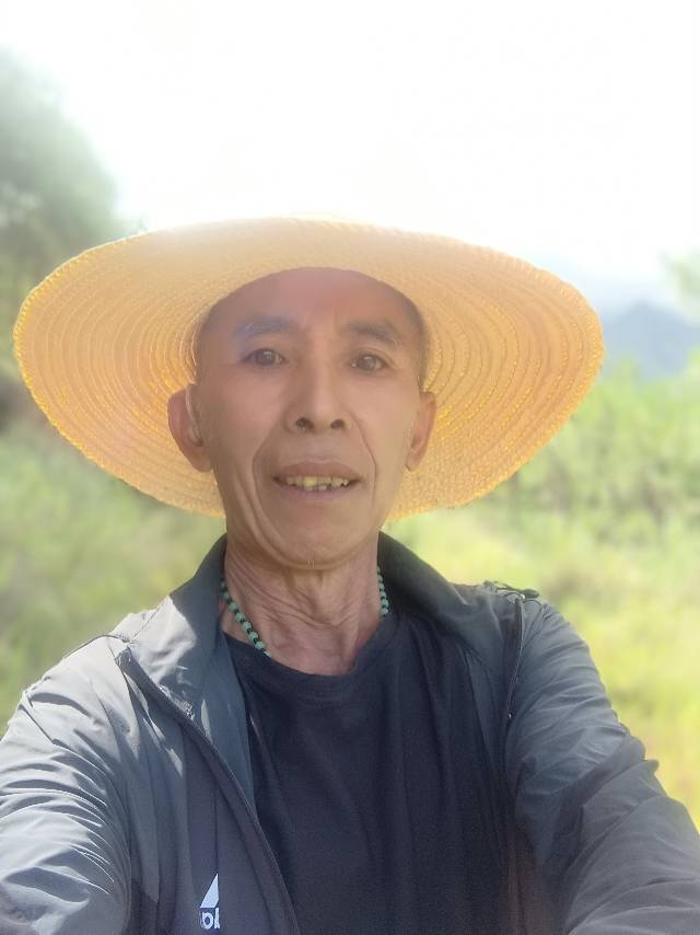 找陪伴老伴搭子