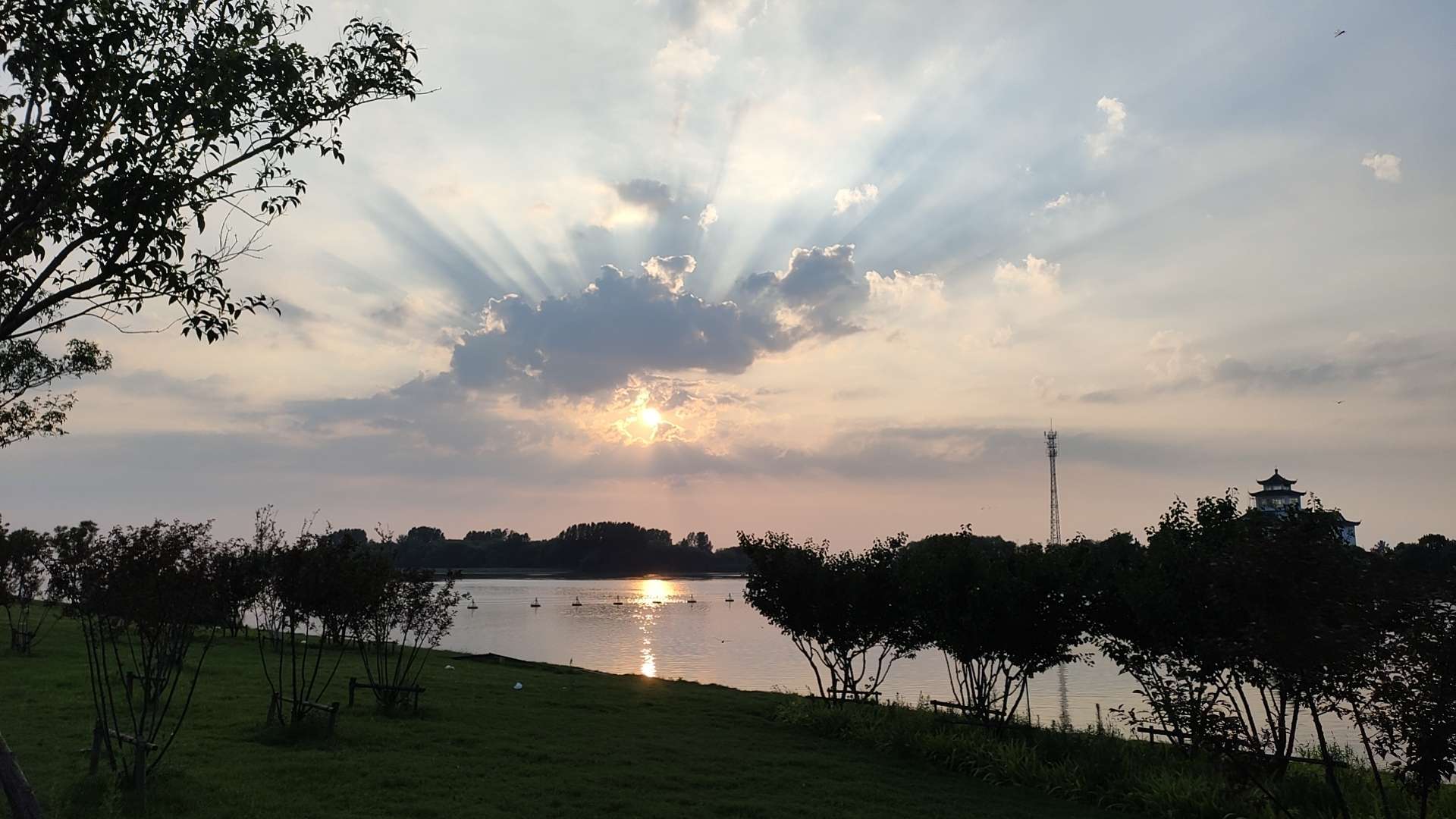 找吃玩老伴搭子