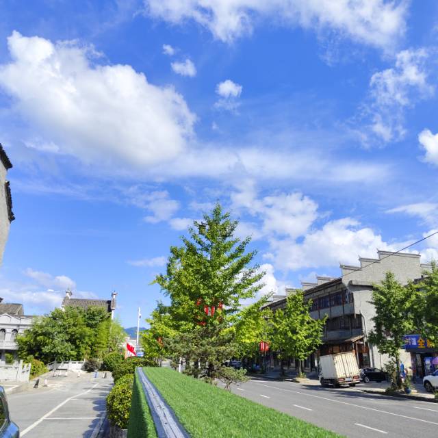 找旅游老伴搭子