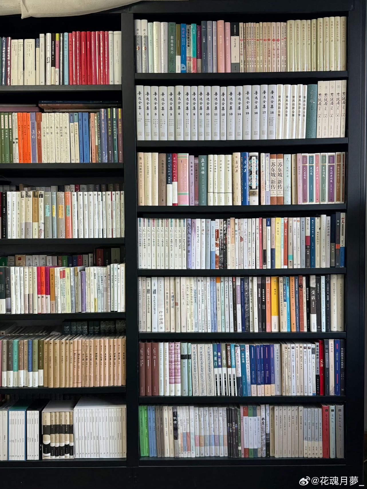 找读书老伴搭子