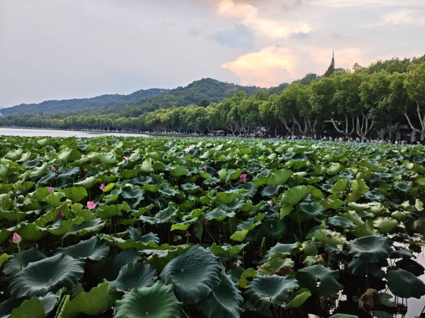 找运动老伴搭子