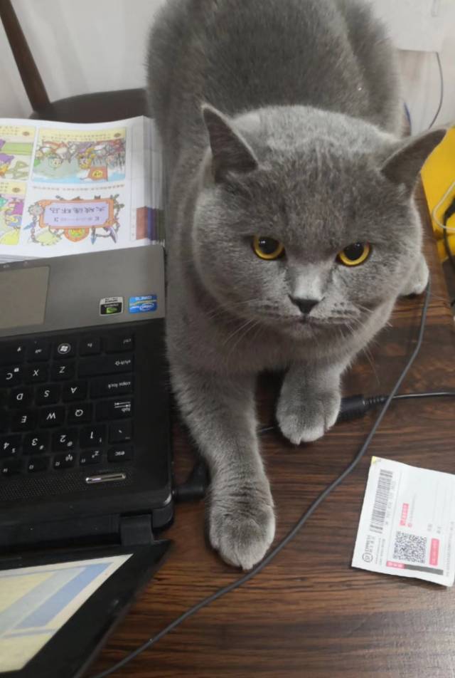 找运动老伴搭子