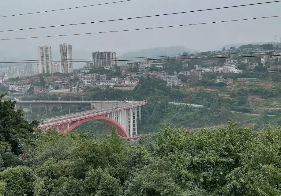 找聊天老伴搭子