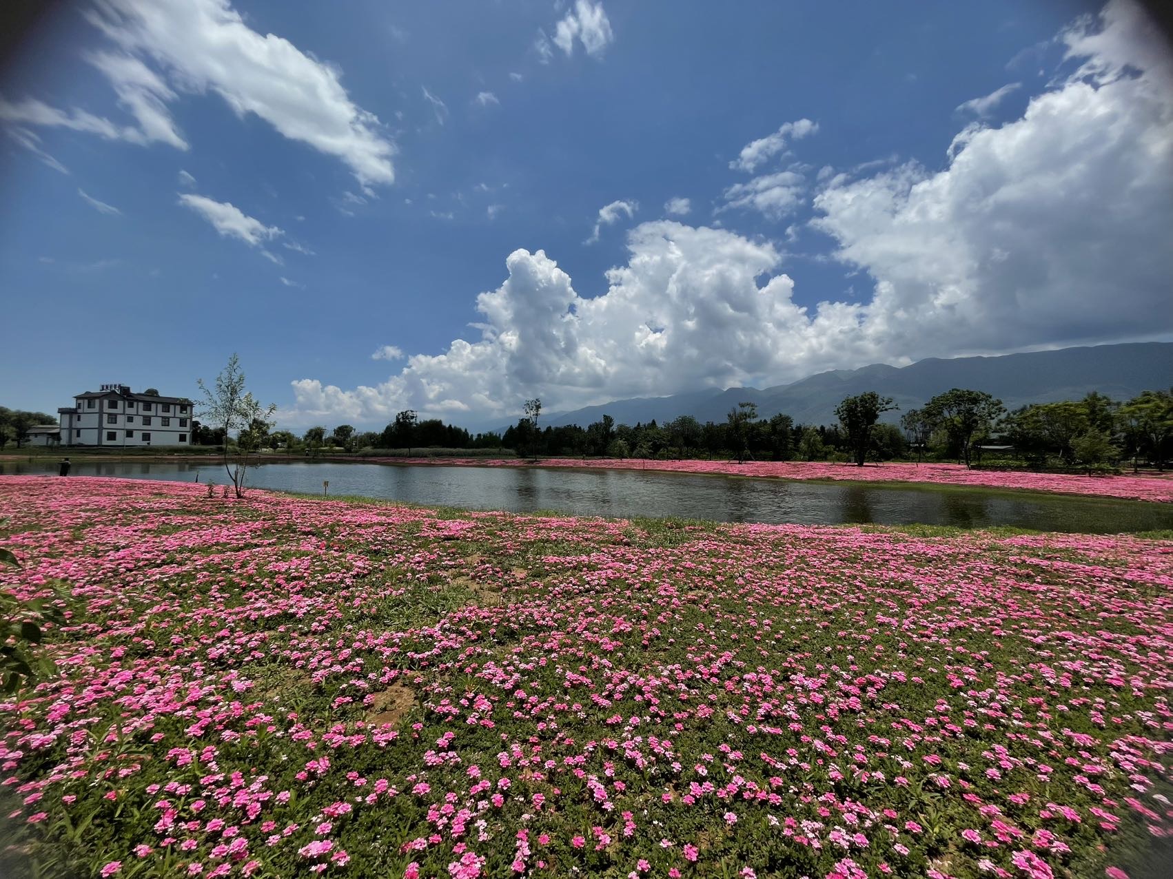 找南疆十月老伴搭子