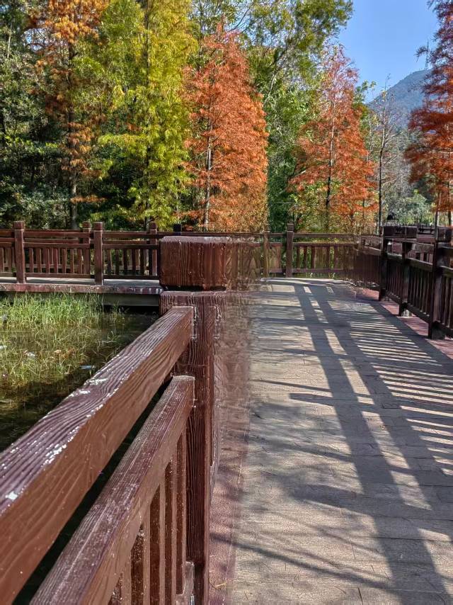 找聊天老伴搭子