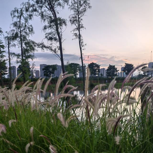 找聊天老伴搭子