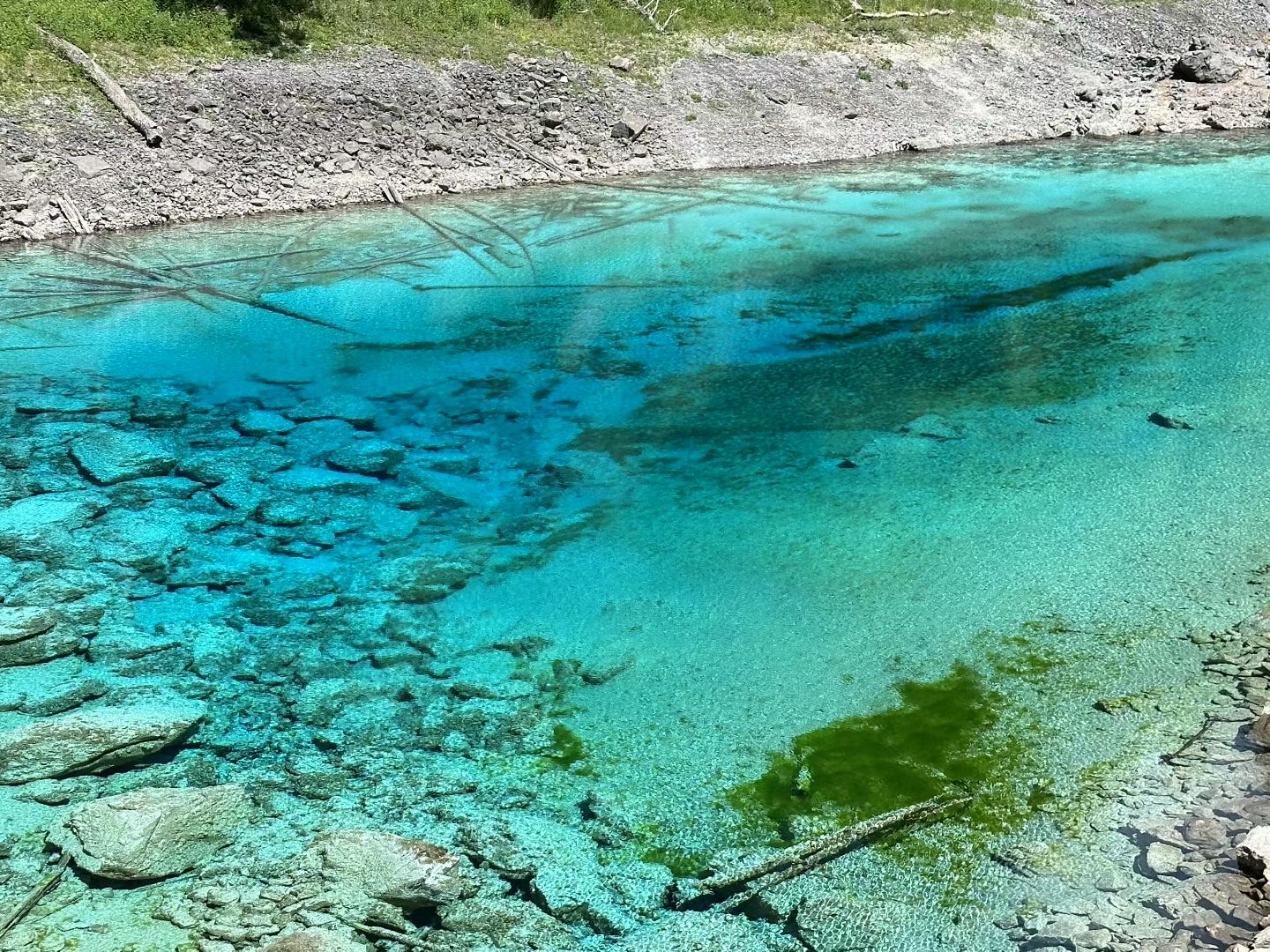 找旅行老伴搭子