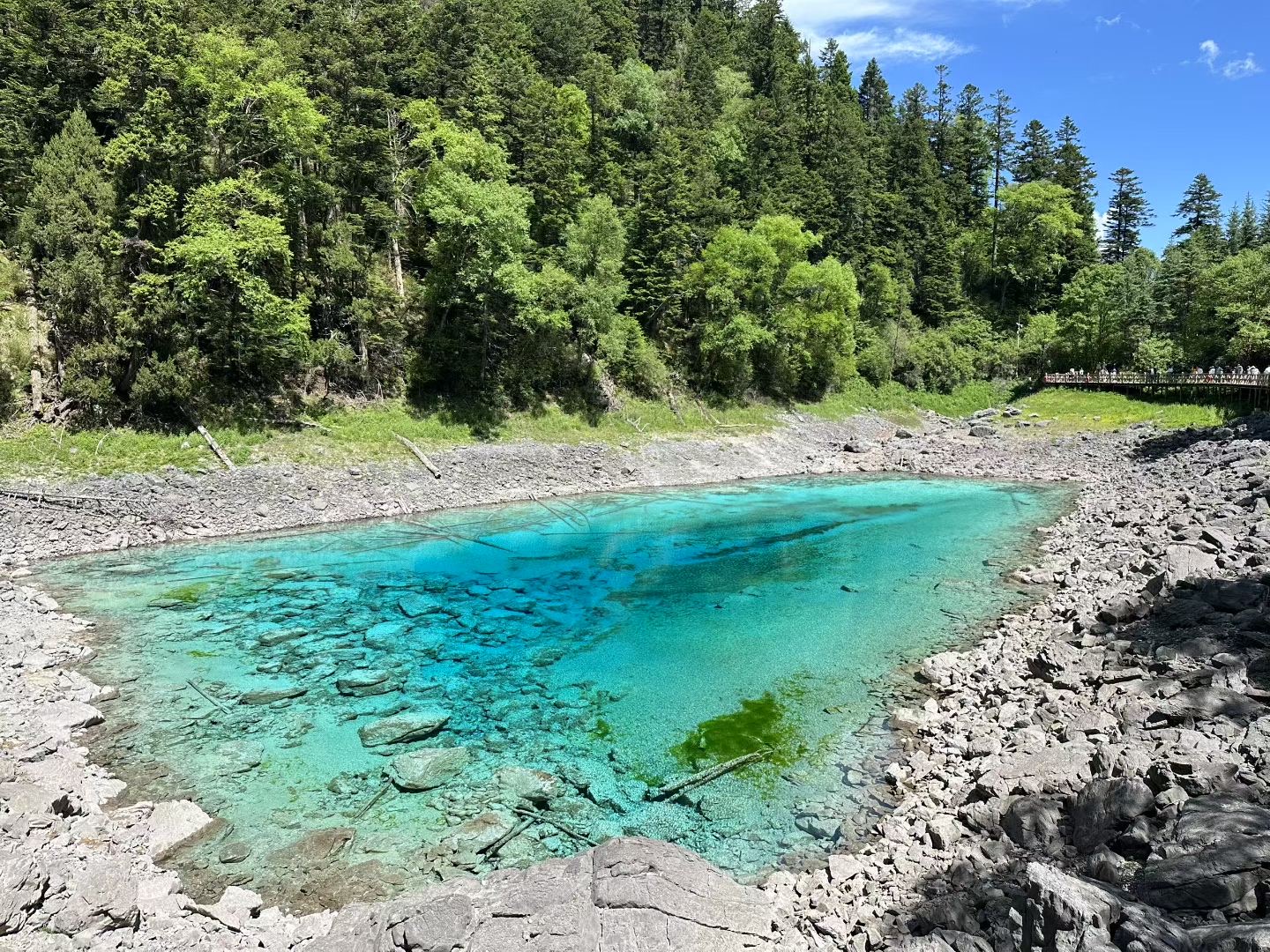 找旅行老伴搭子