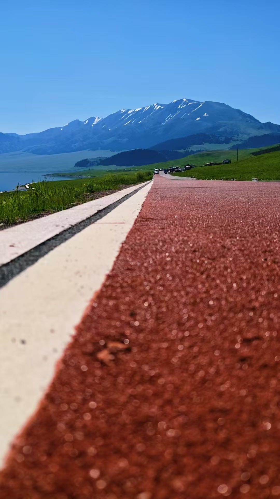 找旅行老伴搭子