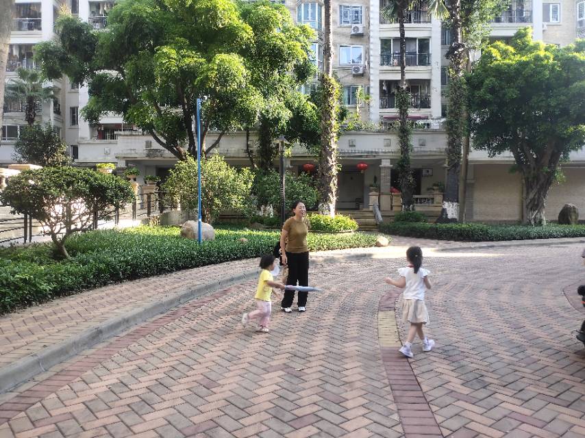 找生活老伴搭子