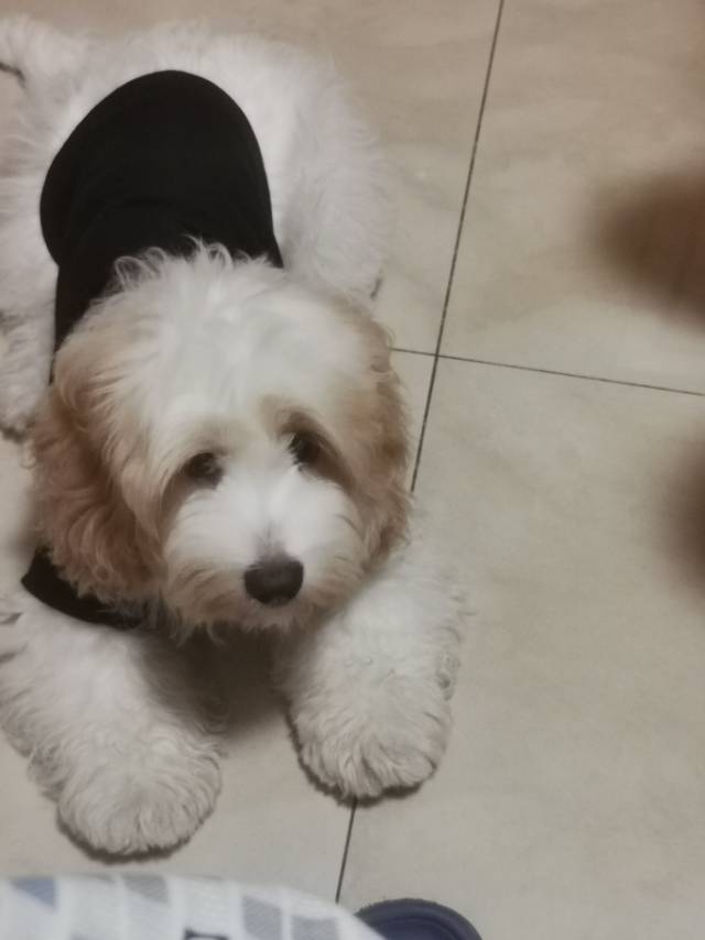 找聊天老伴搭子