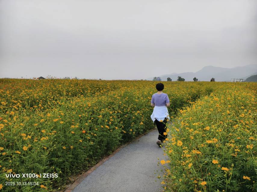 找同频老伴搭子