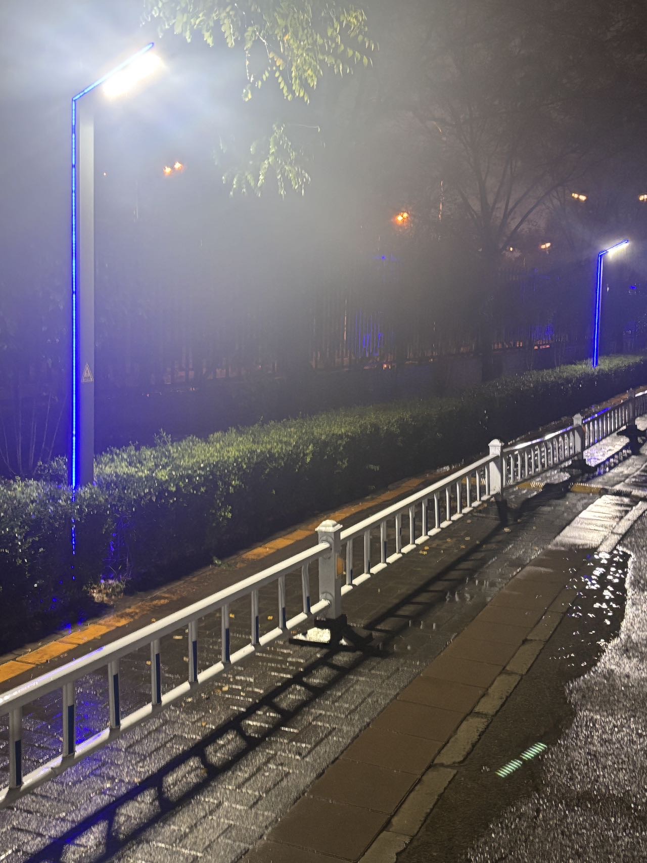 找运动老伴搭子