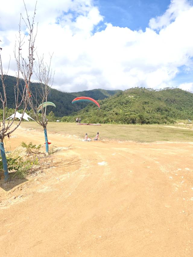 找运动老伴搭子