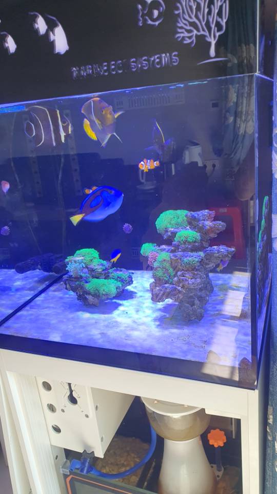 找运动老伴搭子