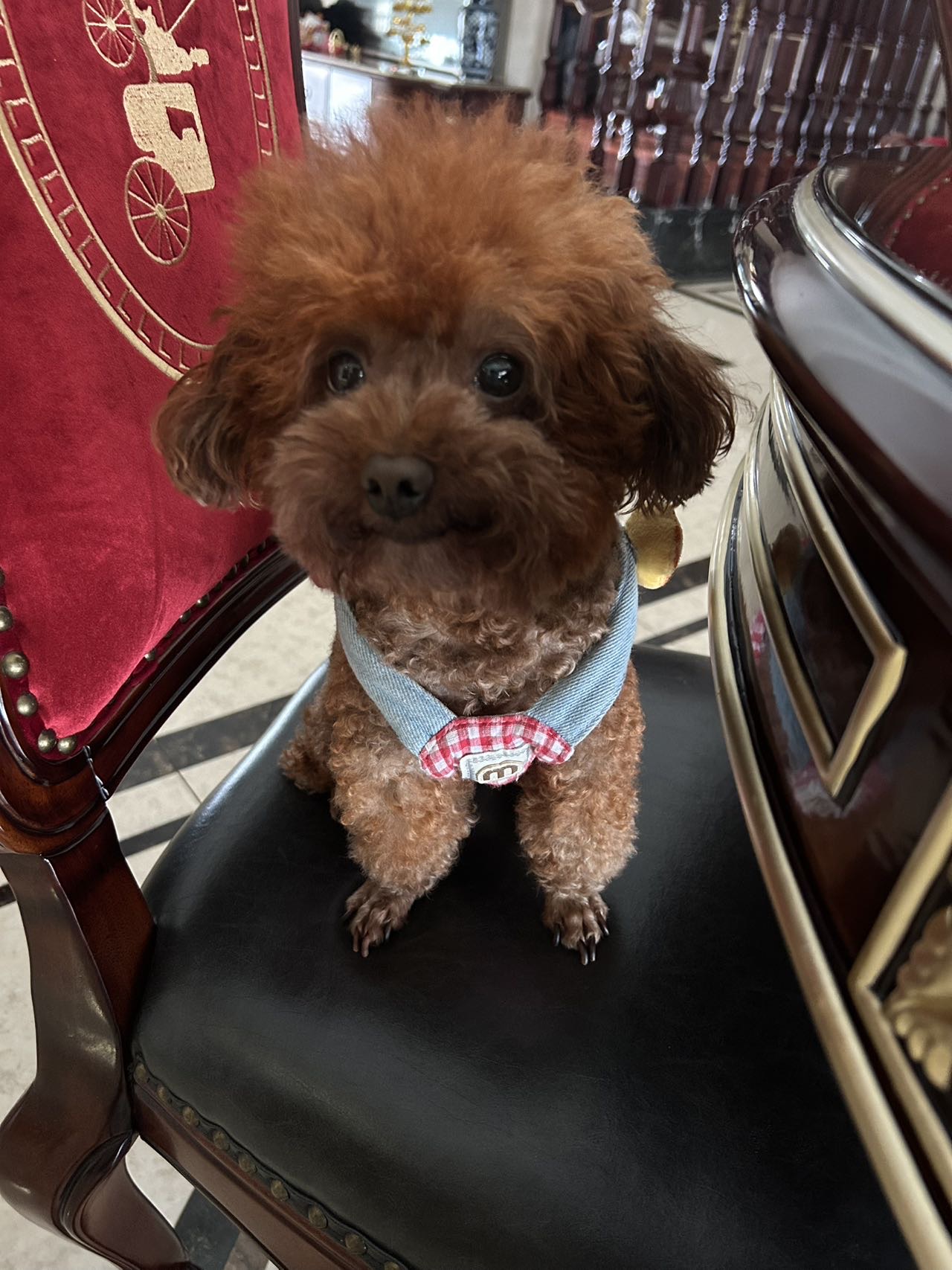 找真实老伴搭子