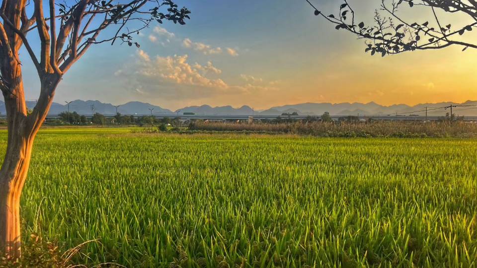 找老伴老伴搭子