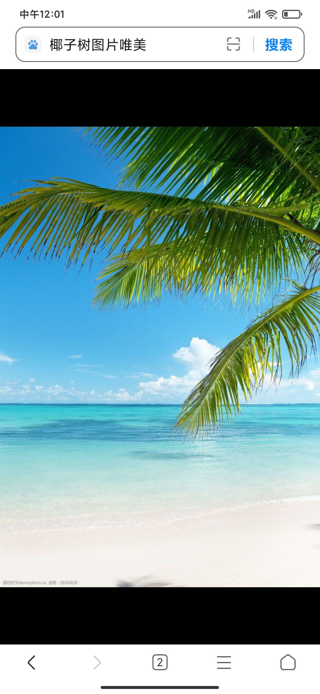 找聊天老伴搭子