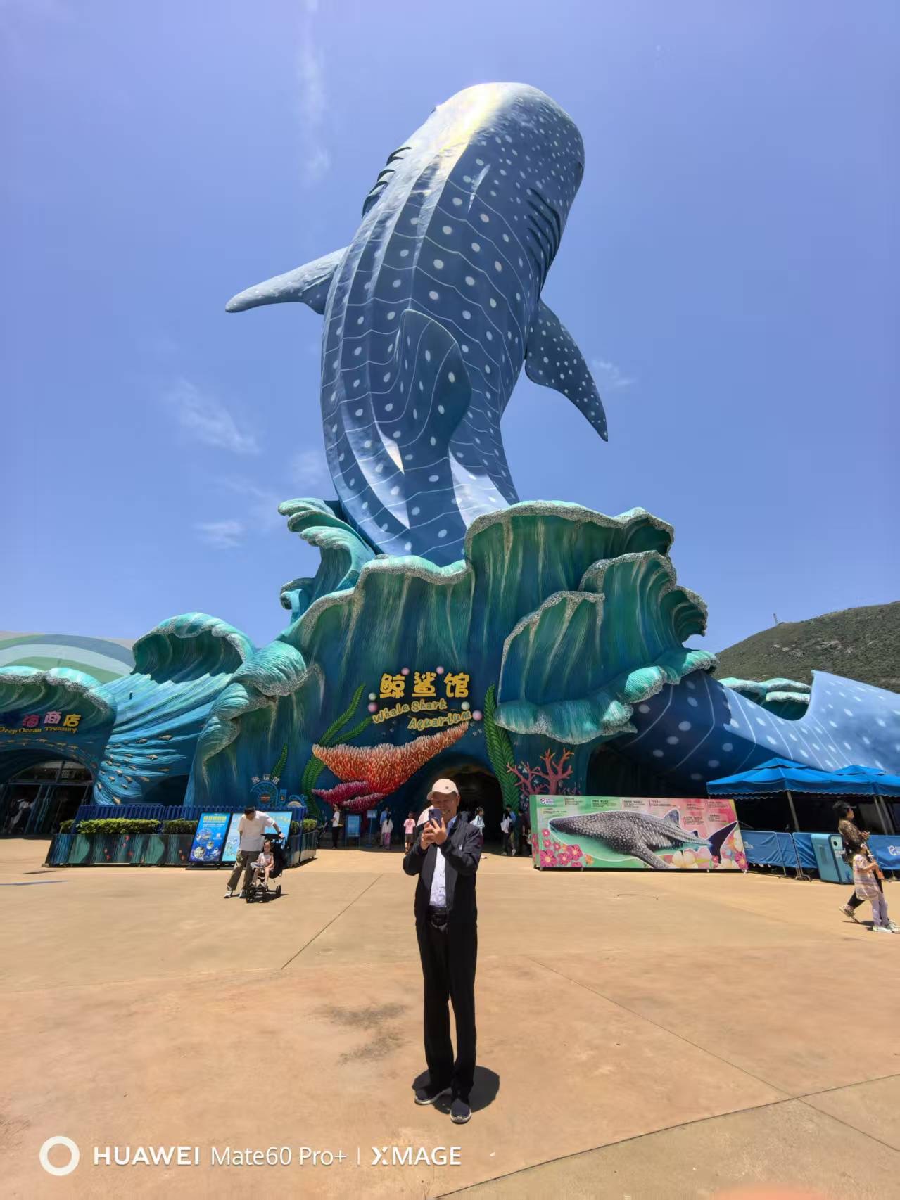 找陪伴老伴搭子