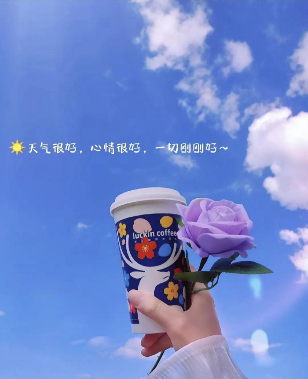 找乐器老伴搭子