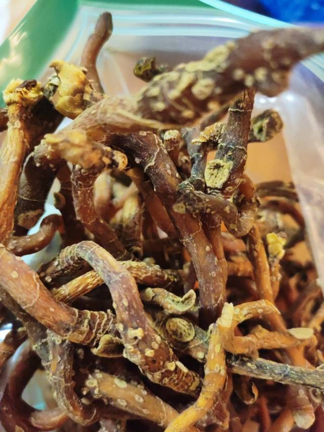 找运动老伴搭子