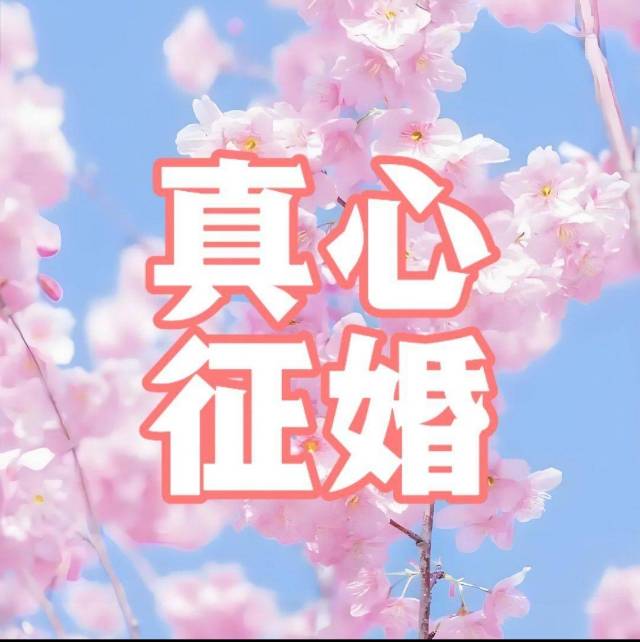 找恋爱老伴搭子