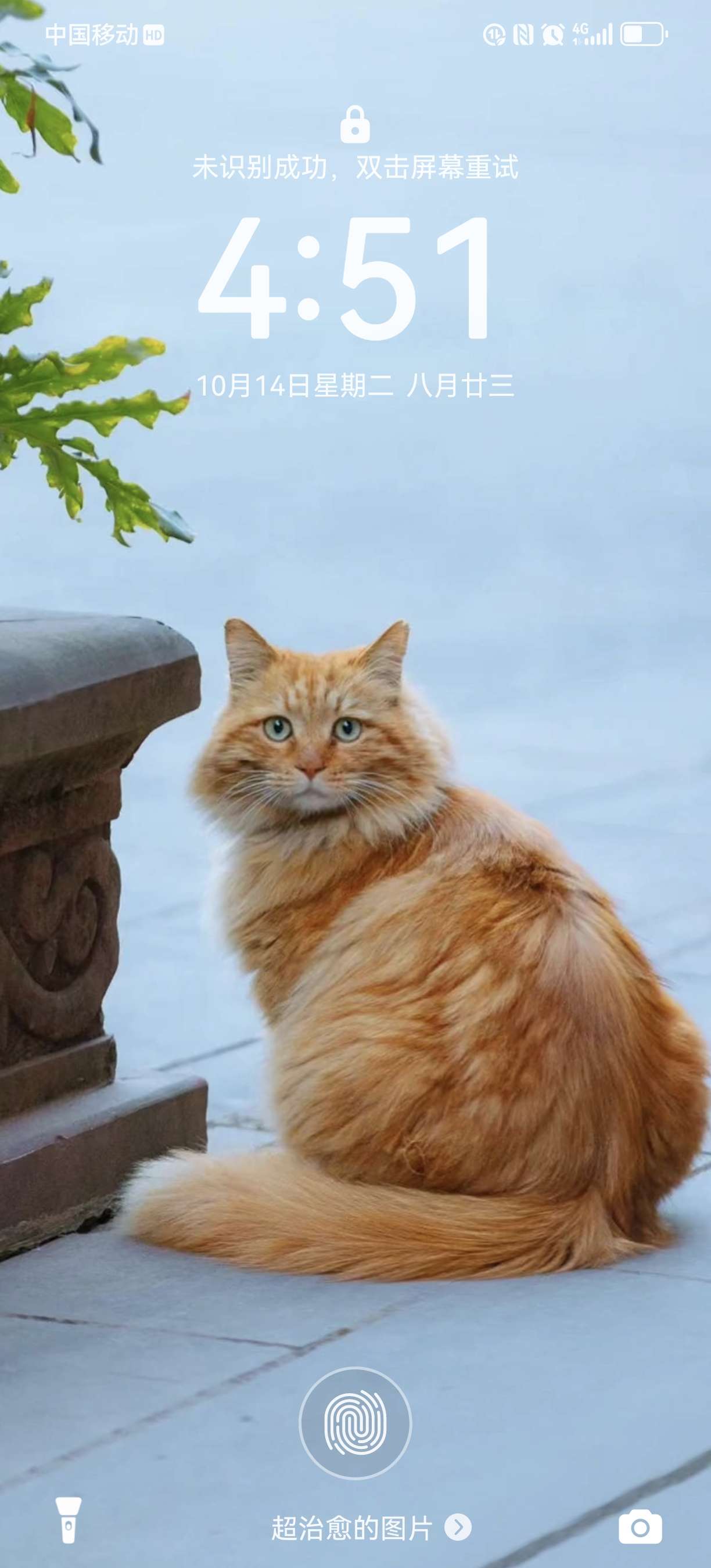 找聊天老伴搭子