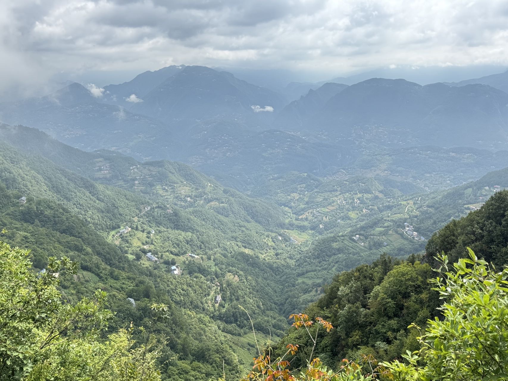 找聊天老伴搭子