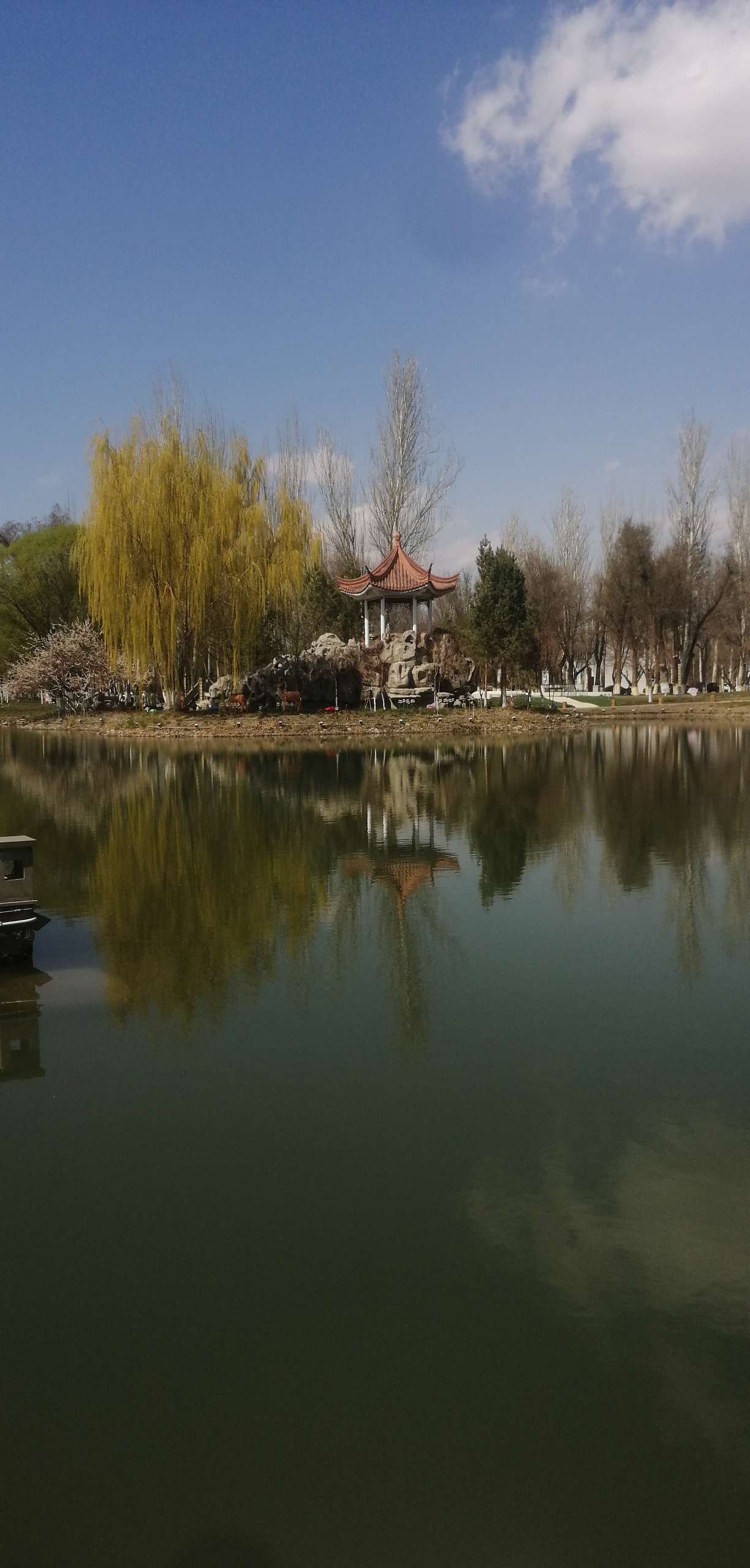 找旅游老伴搭子