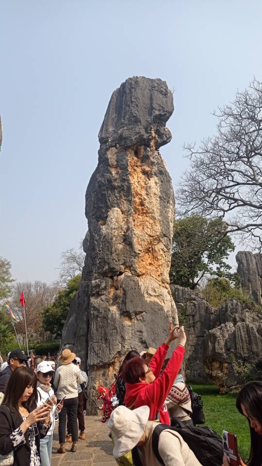 找老伴老伴搭子