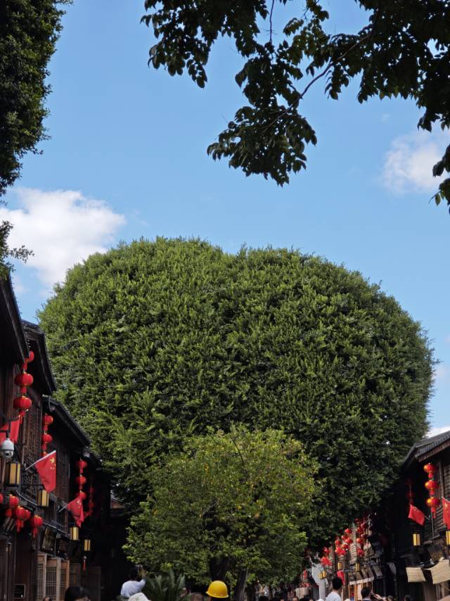 找爱运动老伴搭子