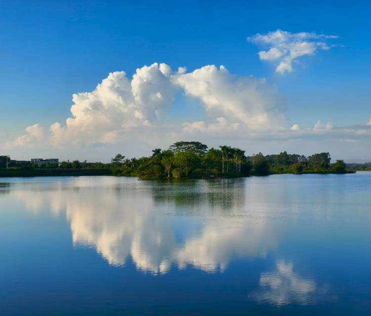 找运动老伴搭子