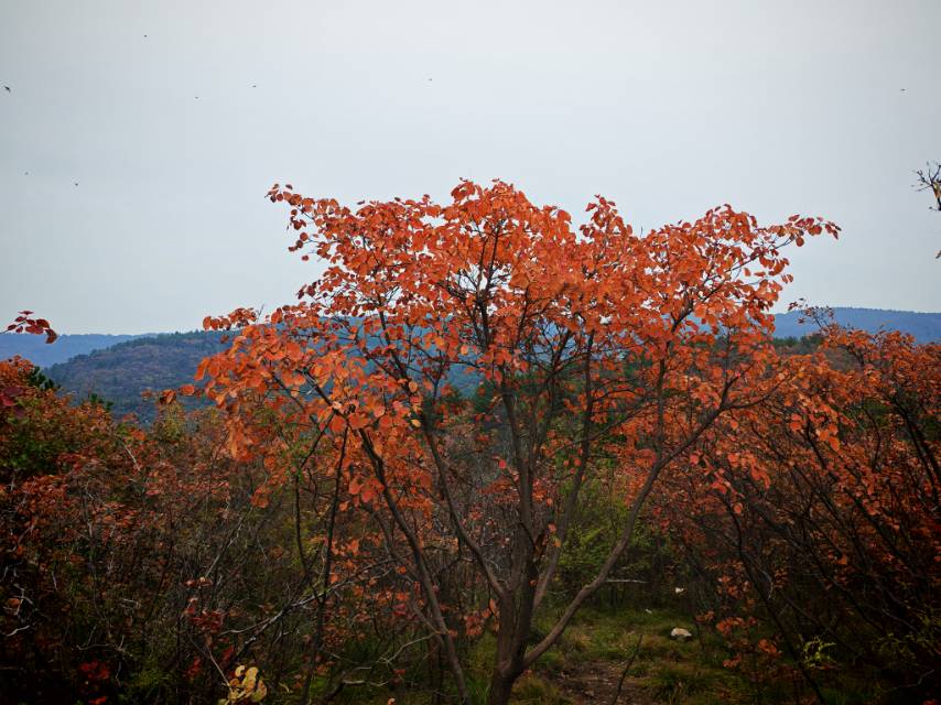 找旅游老伴搭子