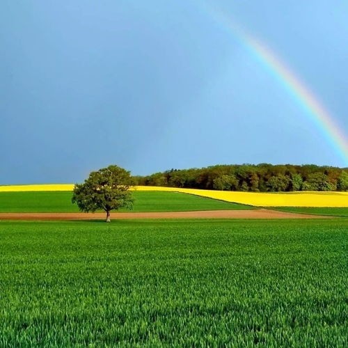 找聊天老伴搭子