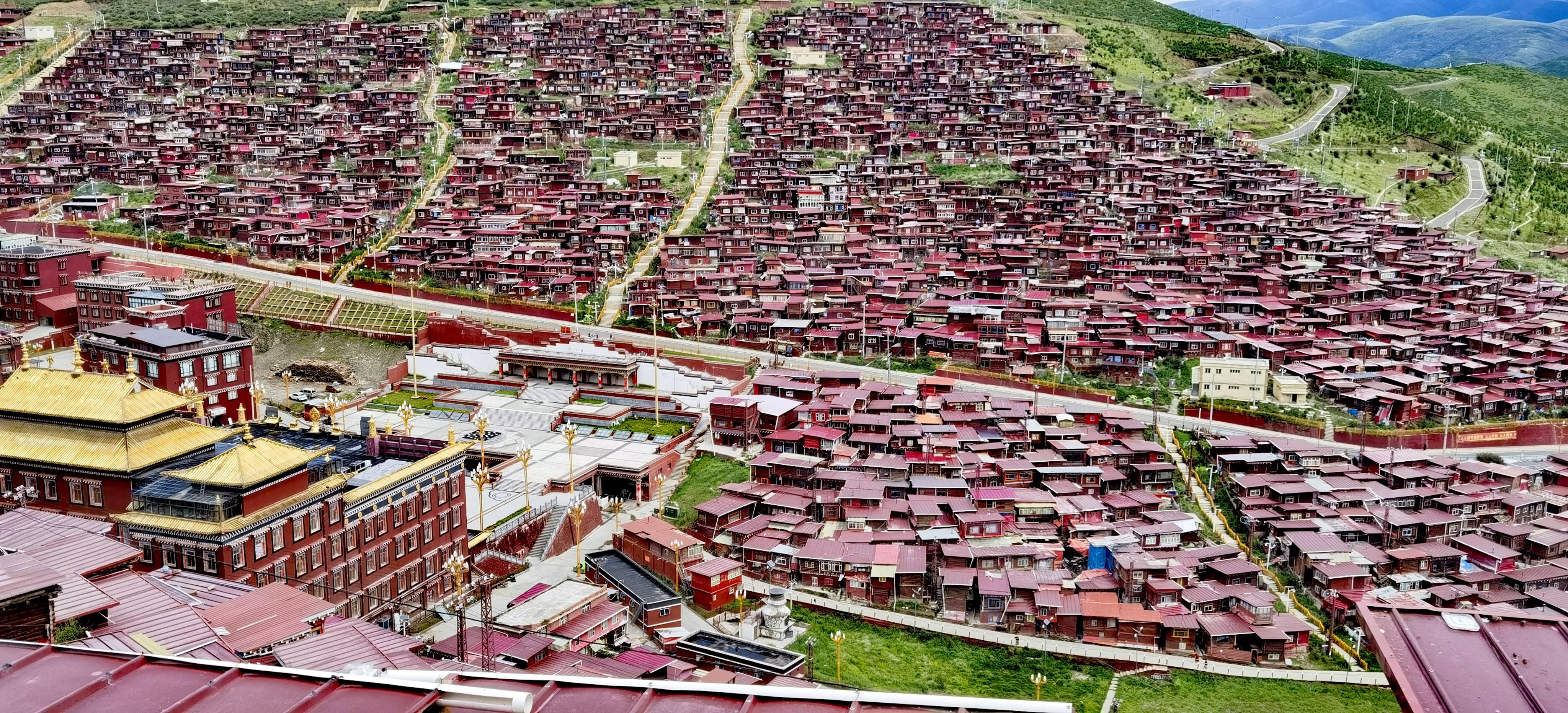 找自驾游老伴搭子