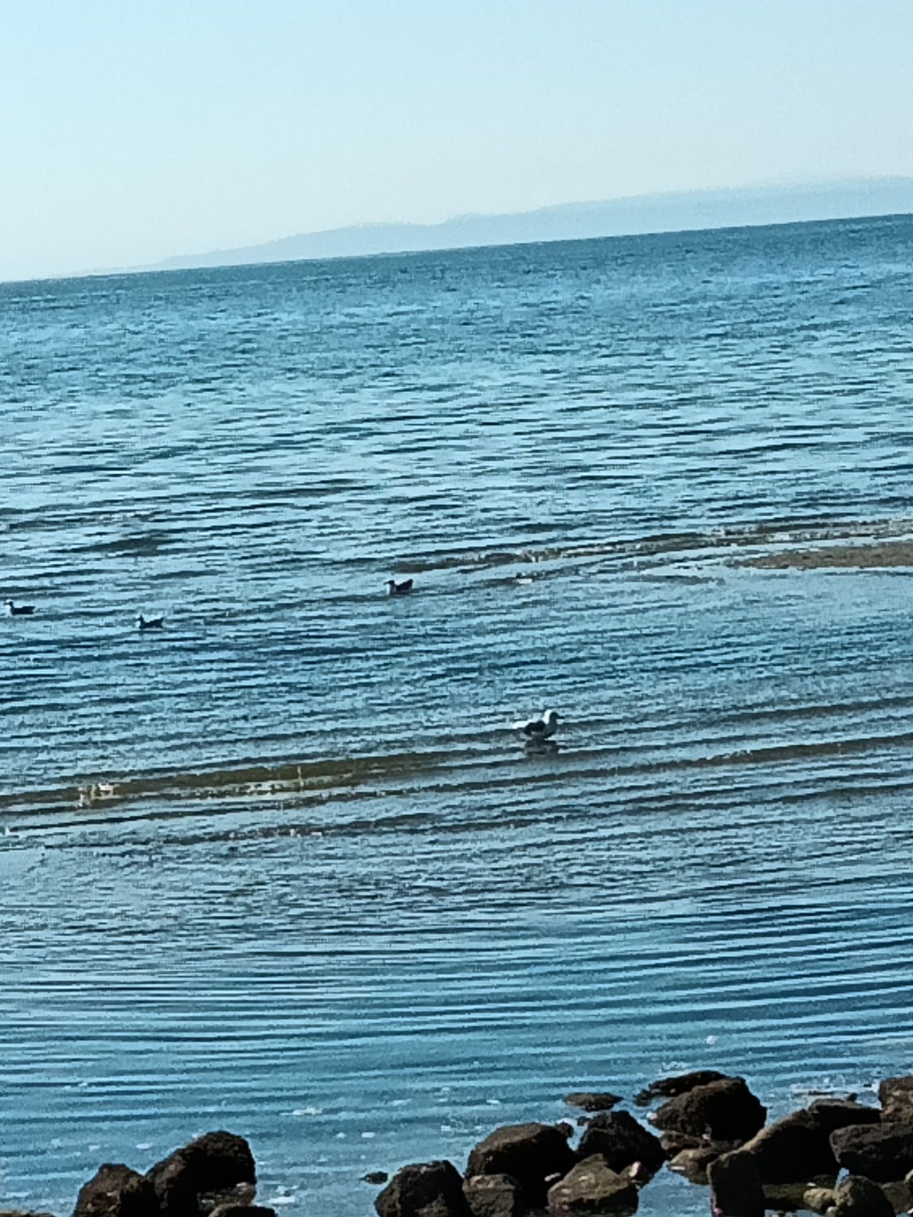 找旅游老伴搭子